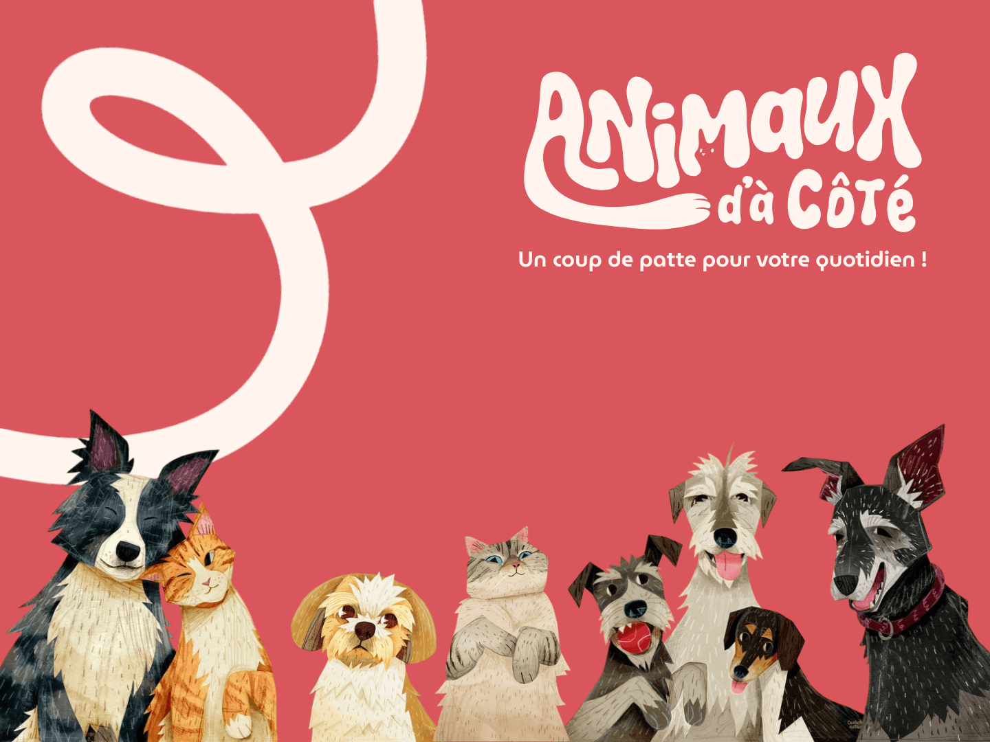 Tout-en-un pour animaux